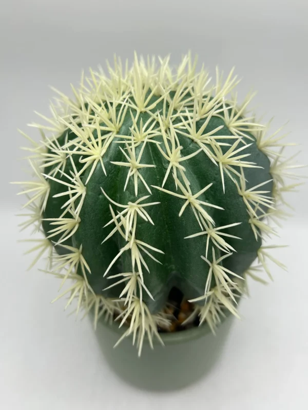 artificial cactus with pot