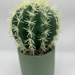 cactus stem