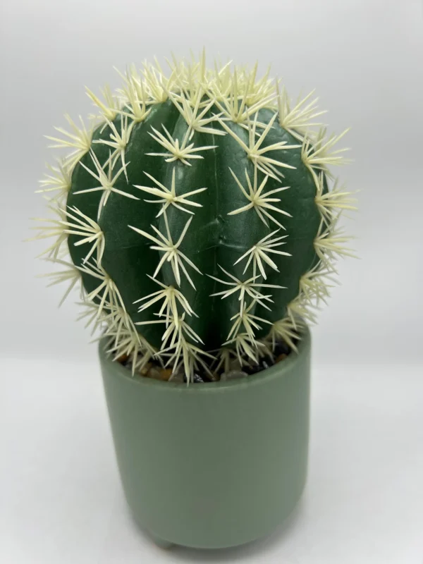 cactus stem
