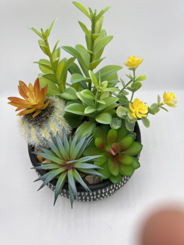 fake cactus plants (2)