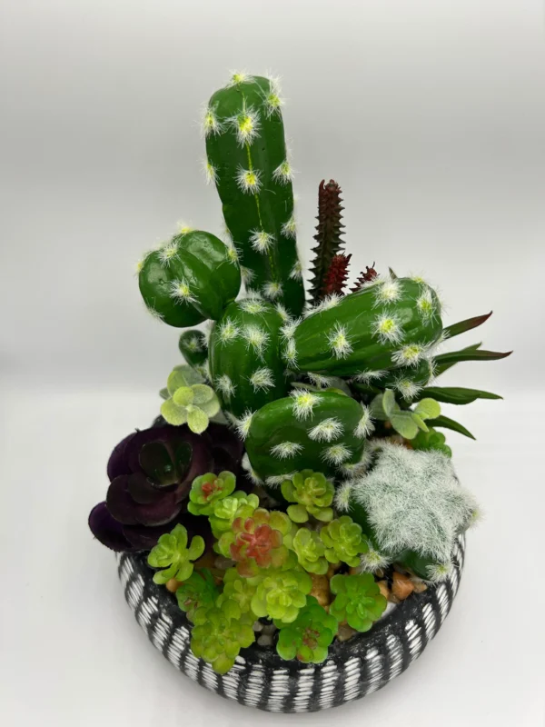 fake cactus plants (2)