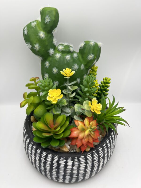 fake cactus plants