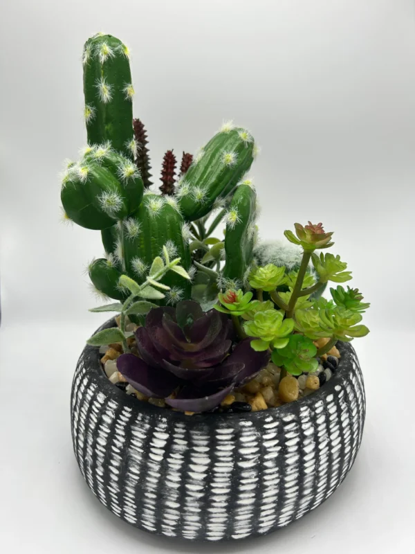 fake cactus plants