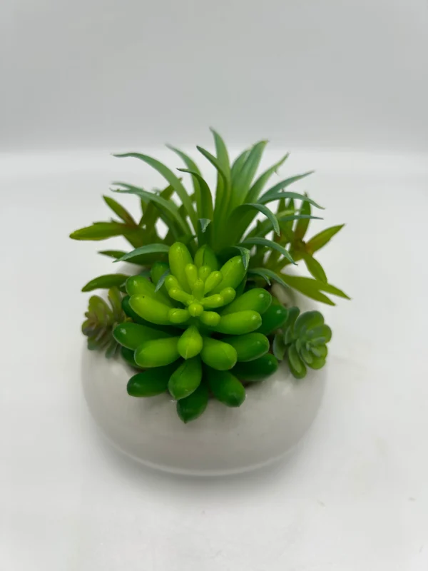 fake house plants