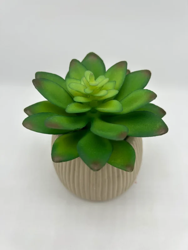 faux plant