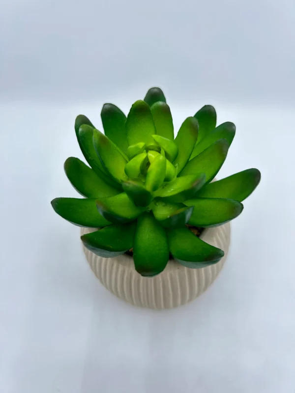 potted faux plant (2)