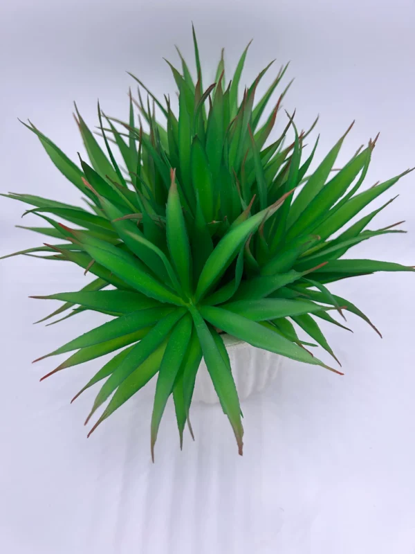 small fake cactus plants