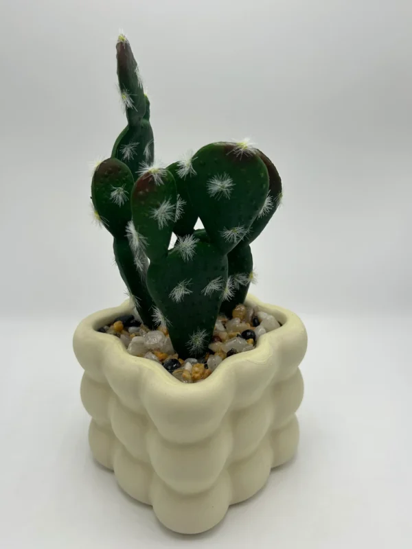 small fake cactus plants