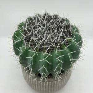 small fake plants