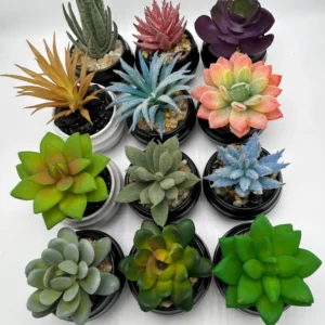 12 pack small artificial succulent