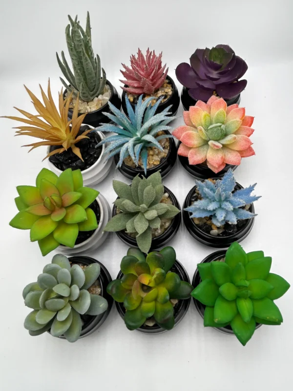 12 pack small artificial succulent