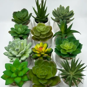12 pcs fake succulent planter