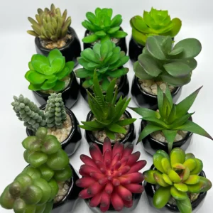 12 piece faux succulent kits