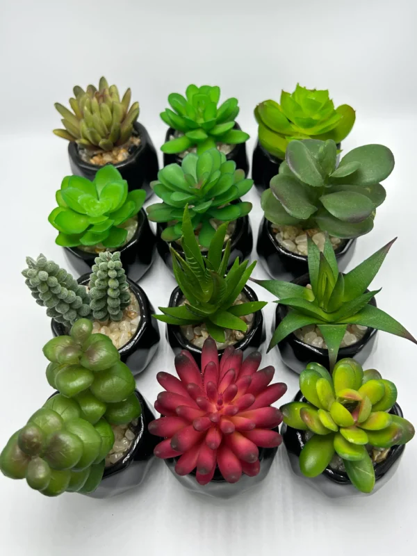 12 piece faux succulent kits