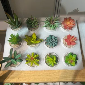 9 set textured succulent