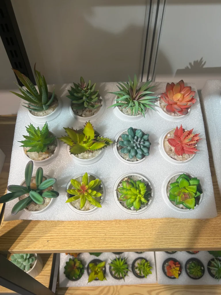 9 set textured succulent