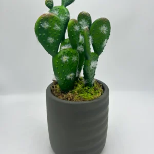 Faux Echinocactus