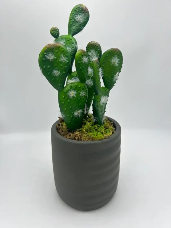 Faux Echinocactus