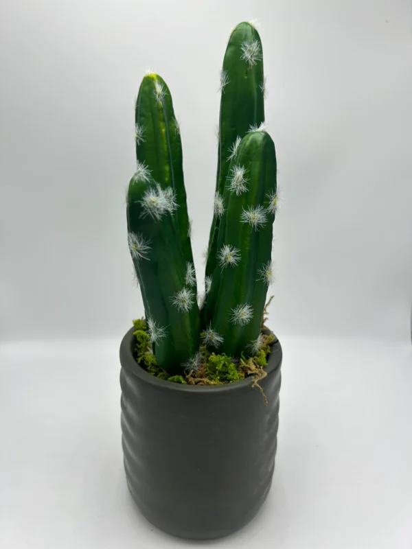 artificial potted succulents
