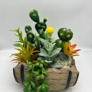 cacti and succulent arrangements