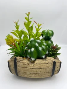 cactus succulent arrangement