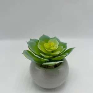 faux succulent wreaths