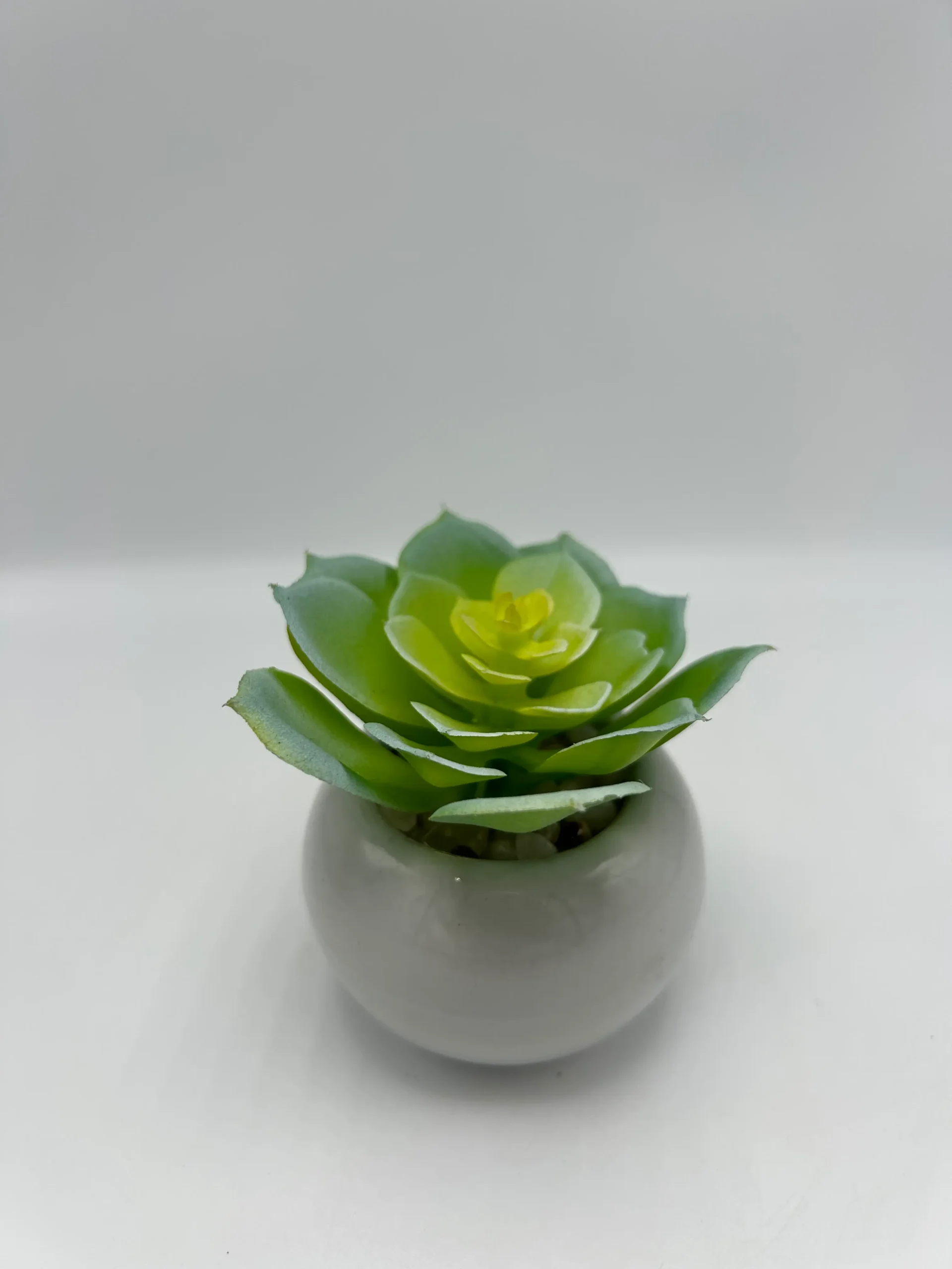 faux succulent wreaths