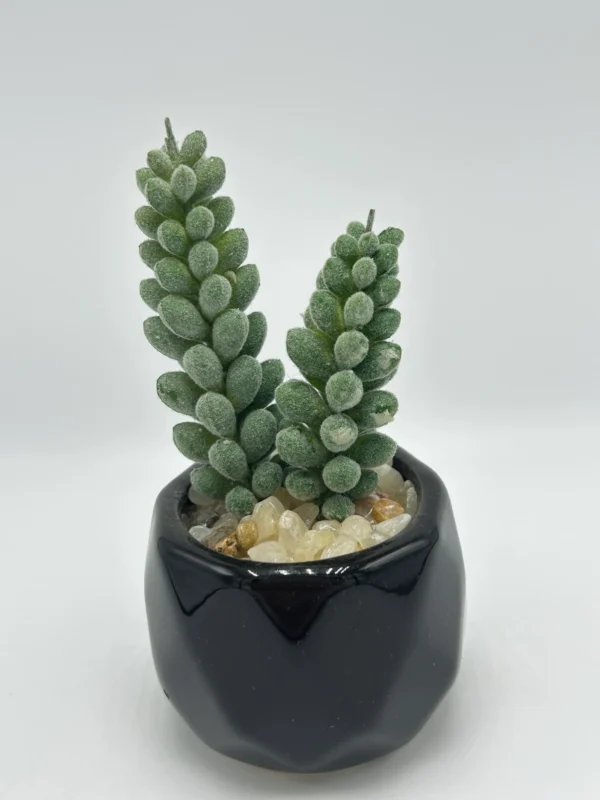 green faux succulent
