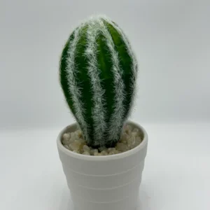 large fake cactus plants