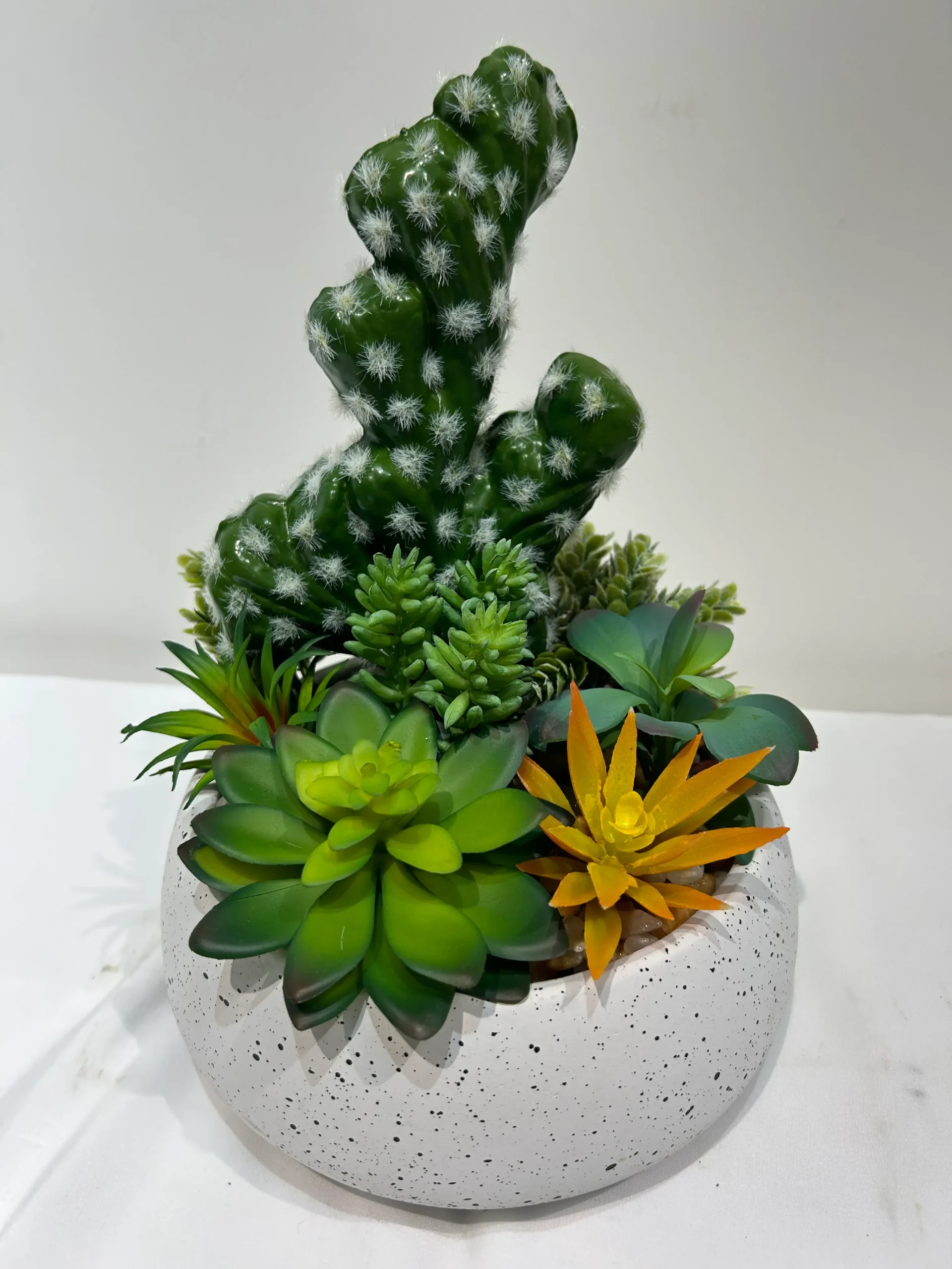 plastic cactus plants