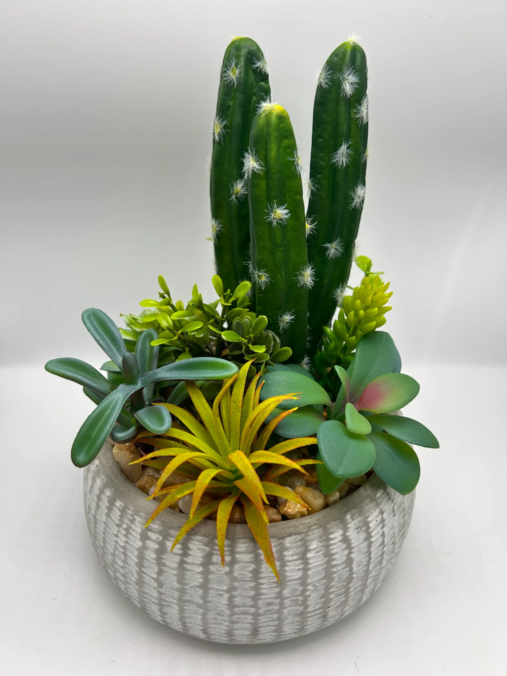 succulent arrangements