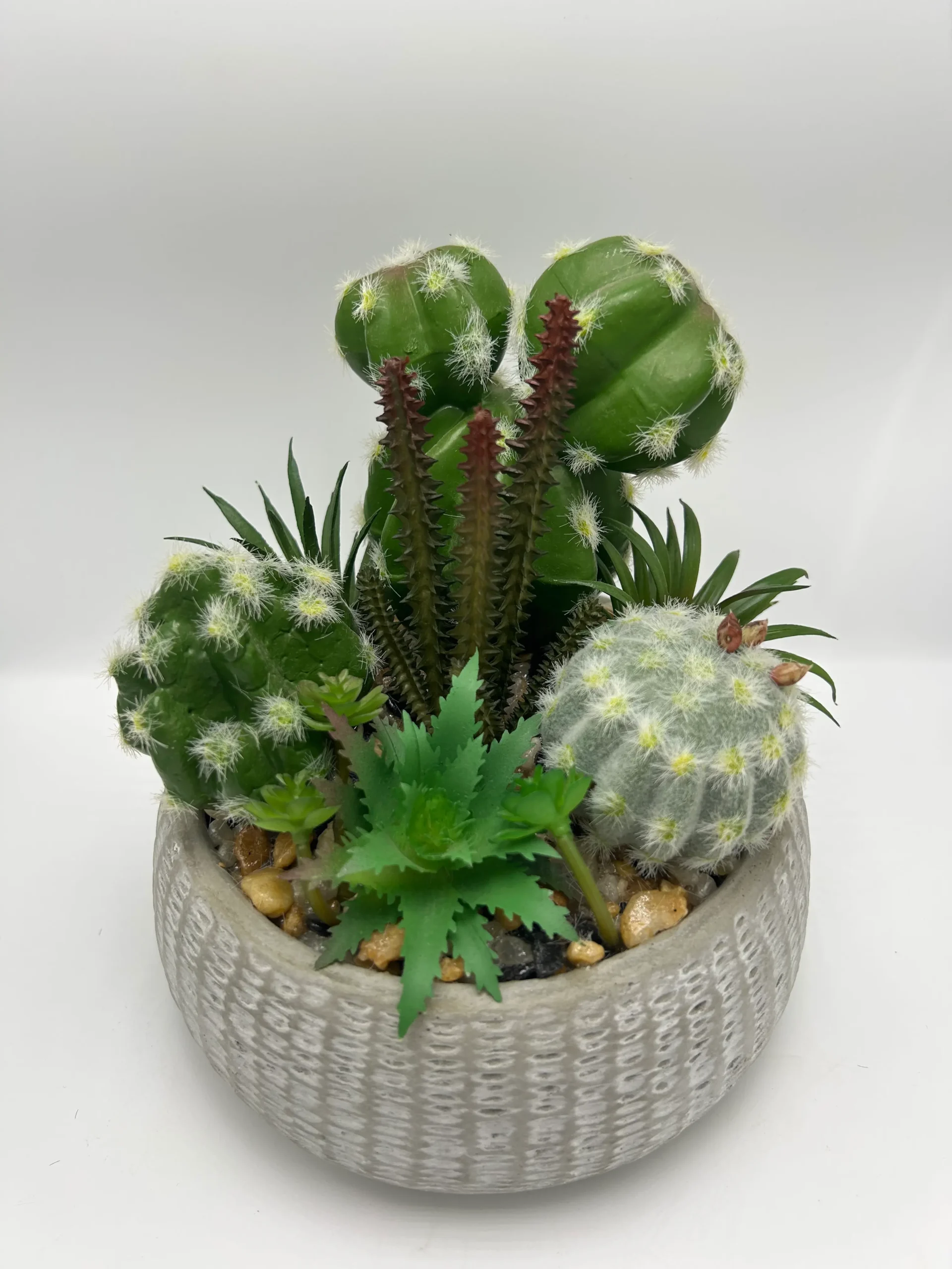 succulent plant arrangements for sale