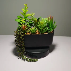 DR0048 -Black Planter Artificial Succulents