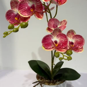 HD010-high quality faux orchids