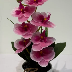 HD011-decorative orchid flowers