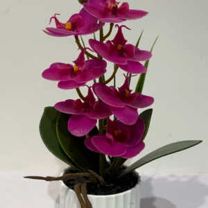 HD012-orchid floral arrangement in planter