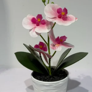 HD015-potted orchid centerpieces