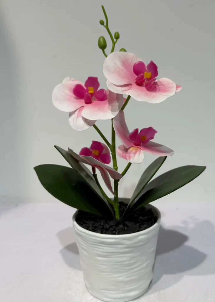HD015-potted orchid centerpieces