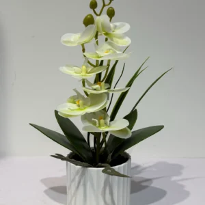 HD016-cream white orchid arrangement