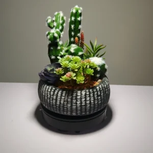 DR0001-Faux Succulent Planter