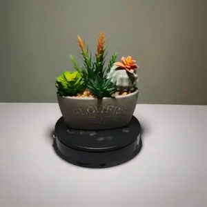 DR0003 (8)artificial plant indoor