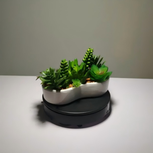 DR0007 (2)fake plant living room