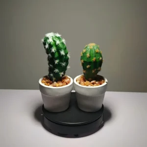 DR0021 (3)Realistic Artificial Cactus Pair