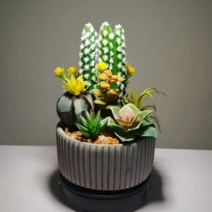 DR0025 (3)succulent cacti arrangement