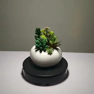 DR0029 (5）artificial plant for living room (1)