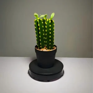 DR0034 (3)fake plant garden