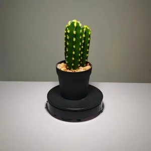 DR0037 (3)Artificial Succulent Wholesale