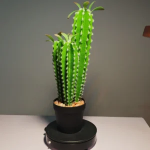 DR0039 (2)fake plant big