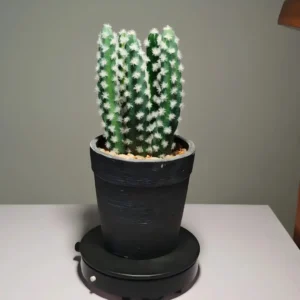 DR0041 (3)fake plant realistic