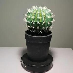 DR0044artificial plant manufacturers